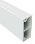 Кабель-канал 2-секц. 50х20 L2000 пластик TMC DKC 00314 Кабель-канал 2-секц. 50х20 L2000 пластик TMC DKC 00314