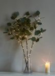 Ветвь эвкалипта иммитация 62см 32LED тепл. бел. IP44 6ч таймер кабель корич. 50см (уп.3шт) КОСМОС KOC_INT-B131 Ветвь эвкалипта иммитация 62см 32LED тепл. бел. IP44 6ч таймер кабель корич. 50см (уп.3шт) КОСМОС KOC_INT-B131