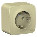 Розетка 1-м ОП Blanca 16А IP20 250В с заземл. без защ. шторок с изолир. пластиной беж. SE BLNRA010117 Розетка 1-м ОП Blanca 16А IP20 250В с заземл. без защ. шторок с изолир. пластиной беж. SE BLNRA010117